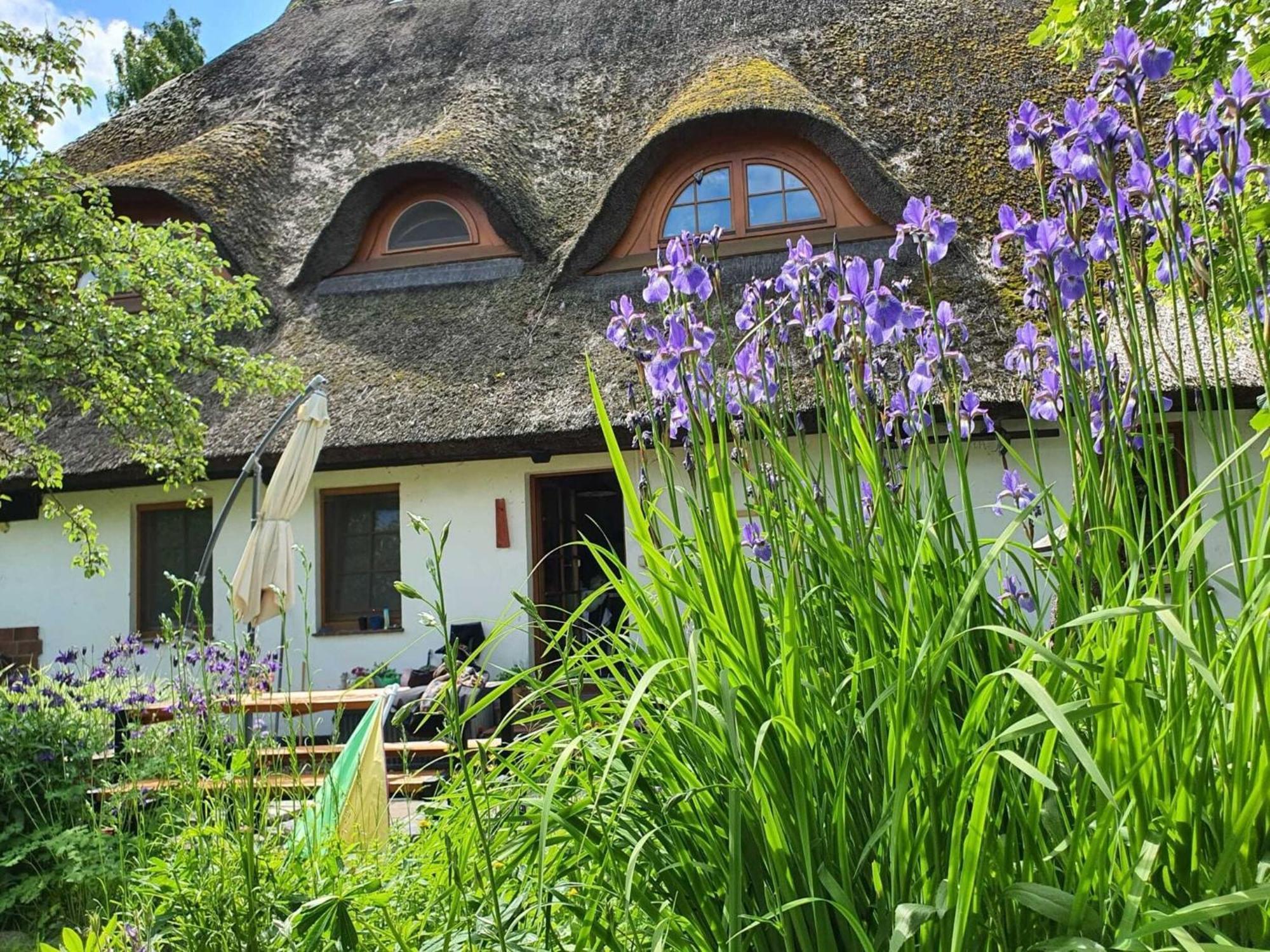 Renovated Apartment In The Old Farmhouse Krusenhagen Esterno foto